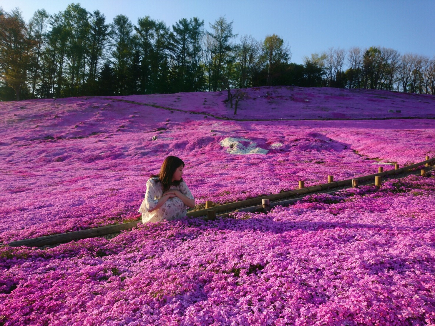 北海道のリゾートバイト