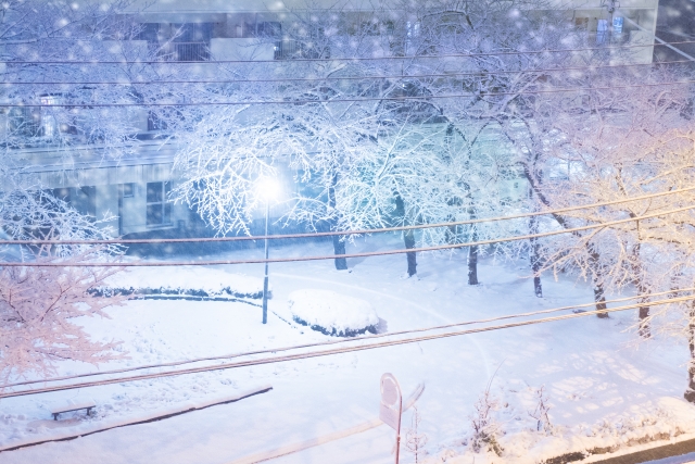 積雪はどのくらい?