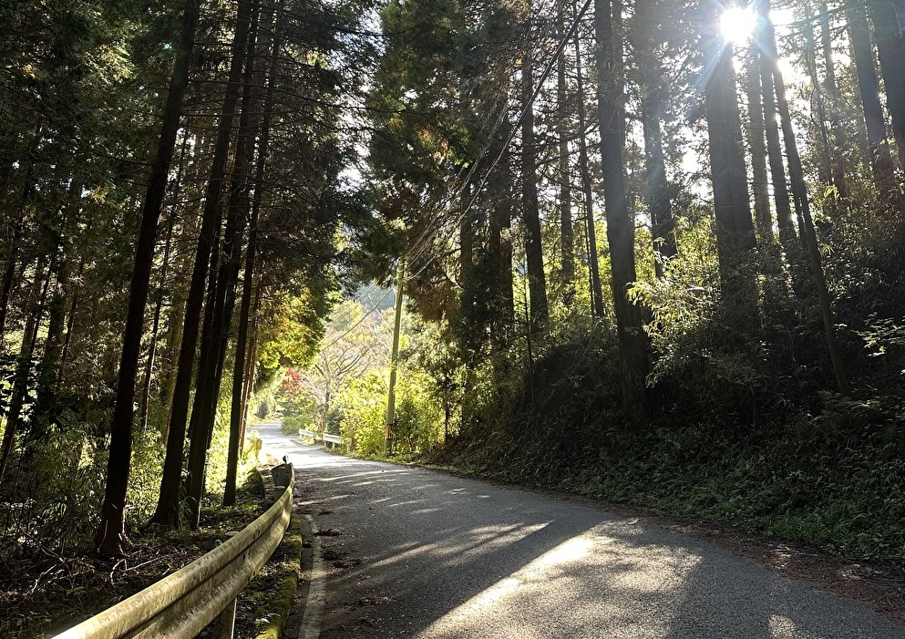 体験談_(小田温泉)熊本県_T0052