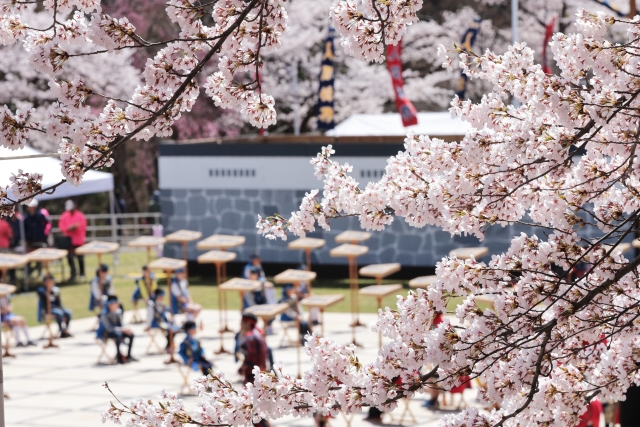 天童桜まつり「人間将棋」(山形県・天童市)