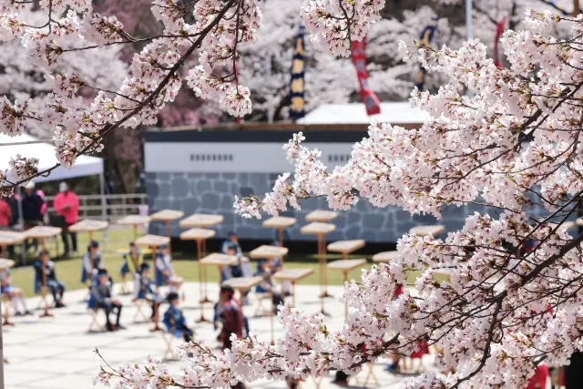 天童桜まつり「人間将棋」(山形県・天童市)