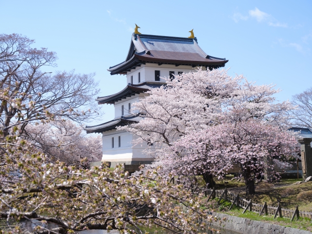 松前さくらまつり(松前町)