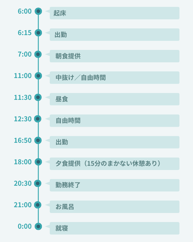 1日のスケジュール