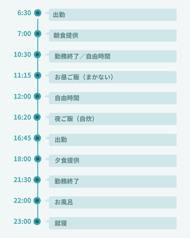1日のスケジュール