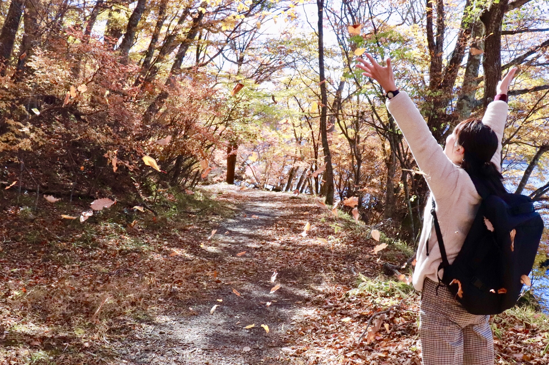 紅葉の中をハイキング