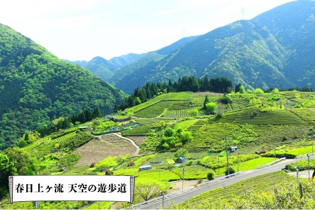天空の遊歩道(岐阜県揖斐郡)