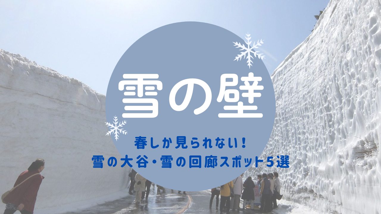 巨大な【雪の壁】春しか見られない雪の大谷・雪の回廊スポット5選