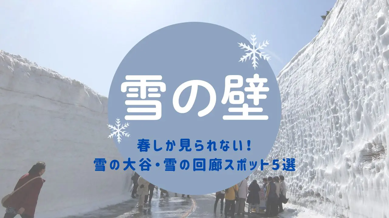 巨大な【雪の壁】春しか見られない雪の大谷・雪の回廊スポット5選