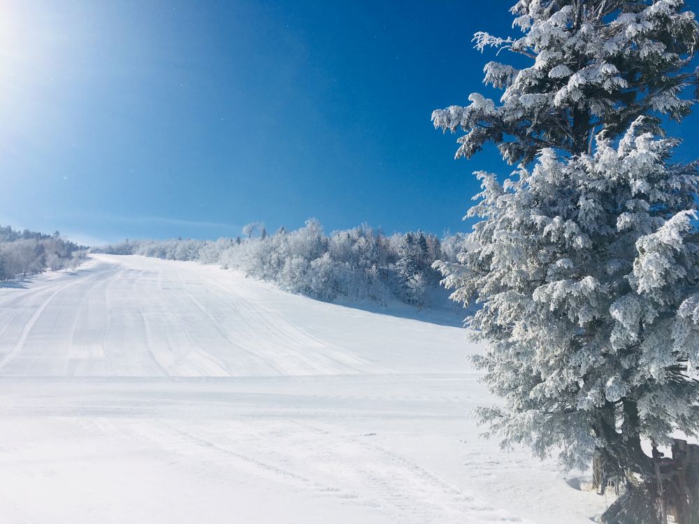 早朝のスキー場
