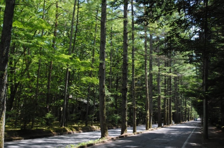 旧軽井沢エリア