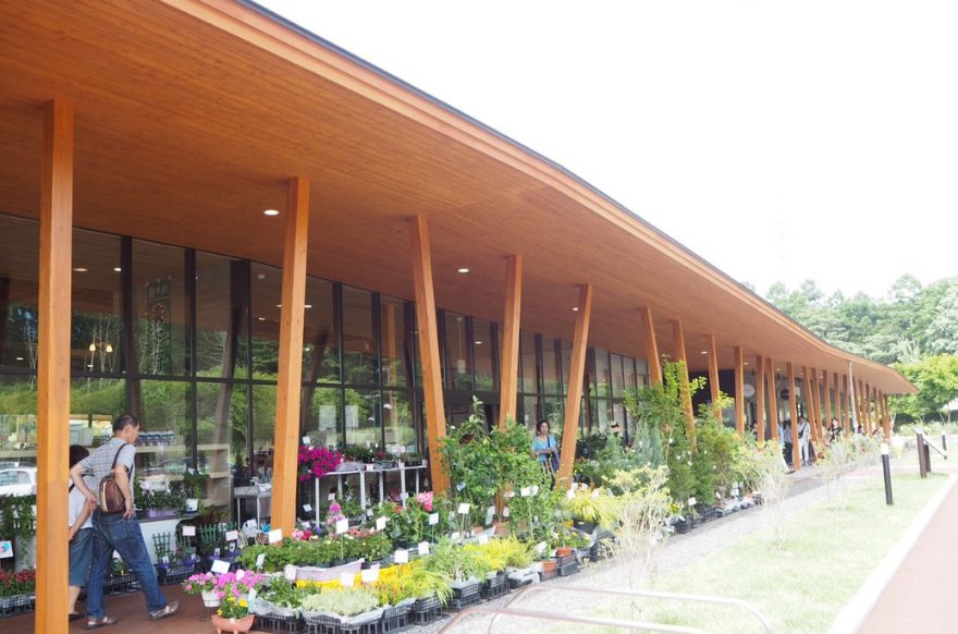 南軽井沢エリア