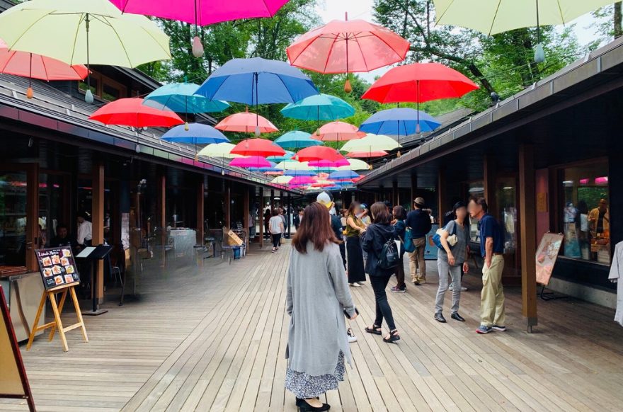 ハルニレテラス