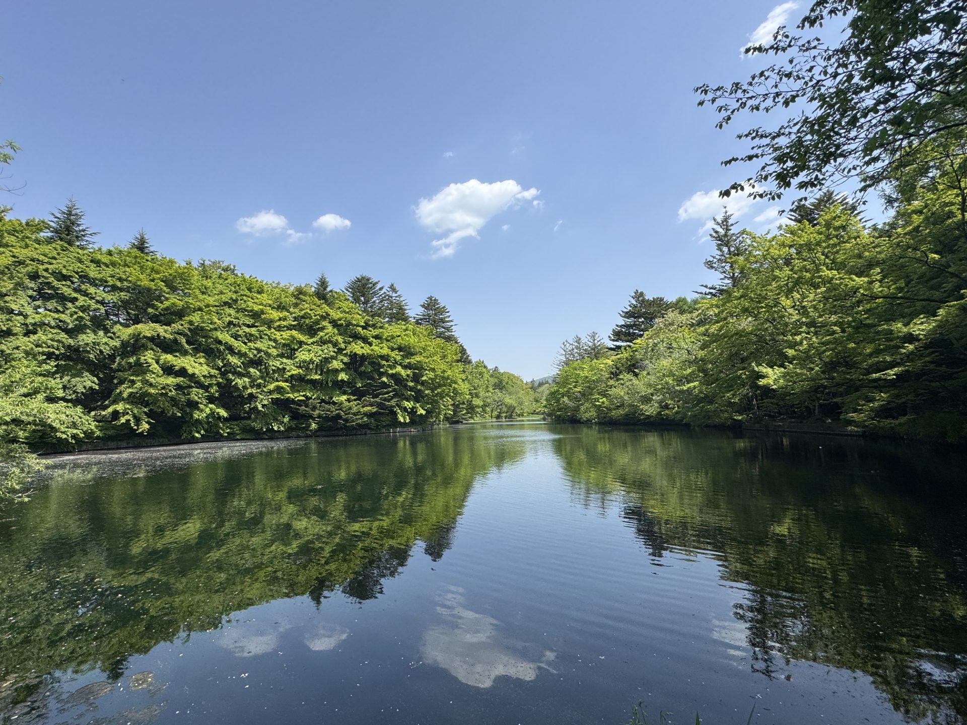 見たことのない景色をもっとみたい！