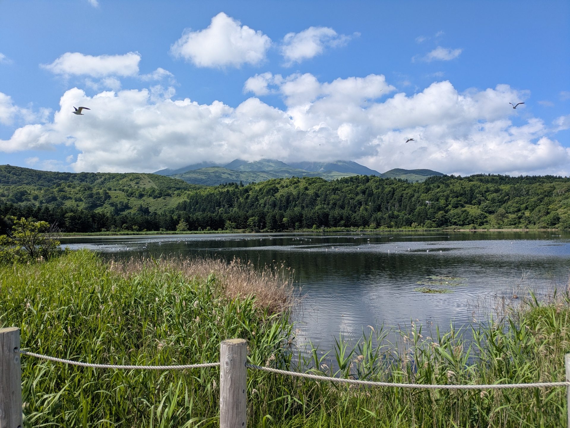 休日の過ごし方