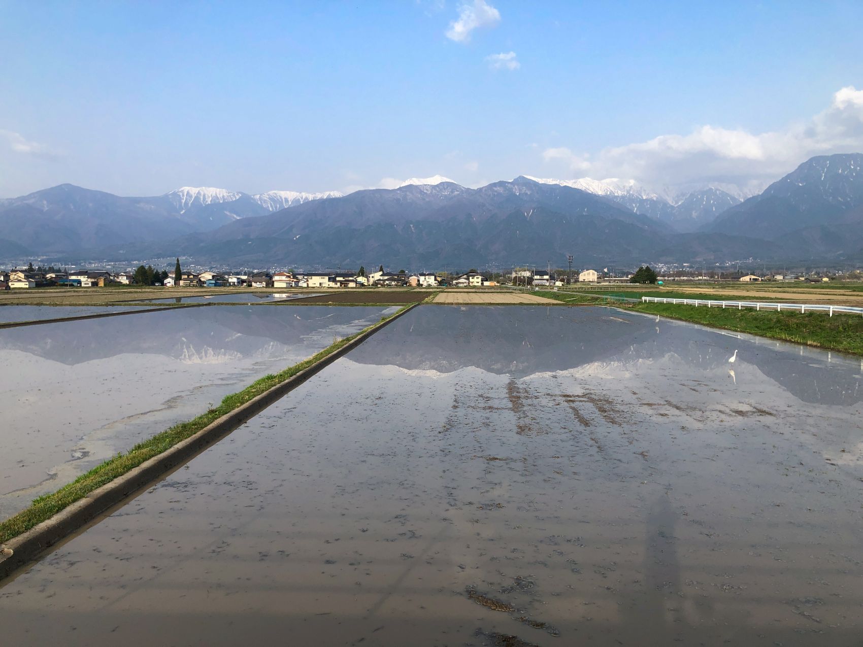 水田に移る北アルプス
