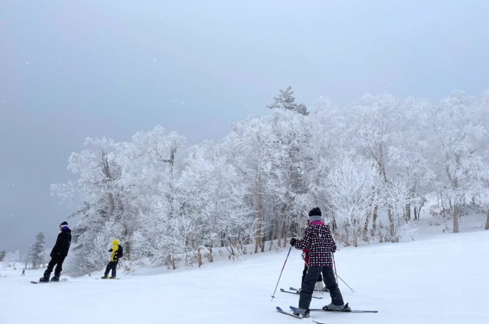 パウダースノーをタダで滑走！