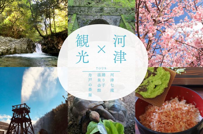 【河津×観光】駅を起点に徒歩やバスで巡るスポット紹介
