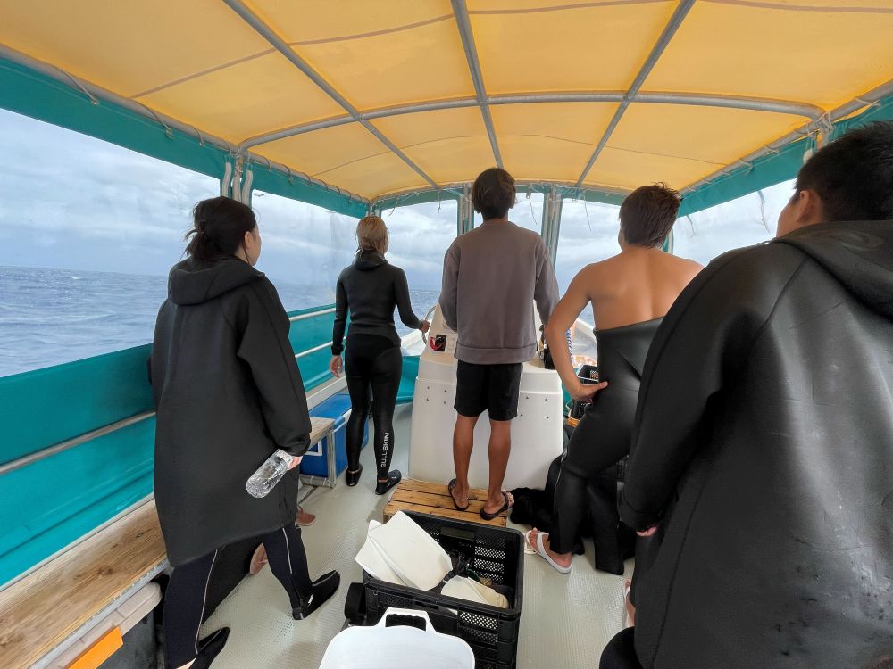 水面マンタを見に行く船旅