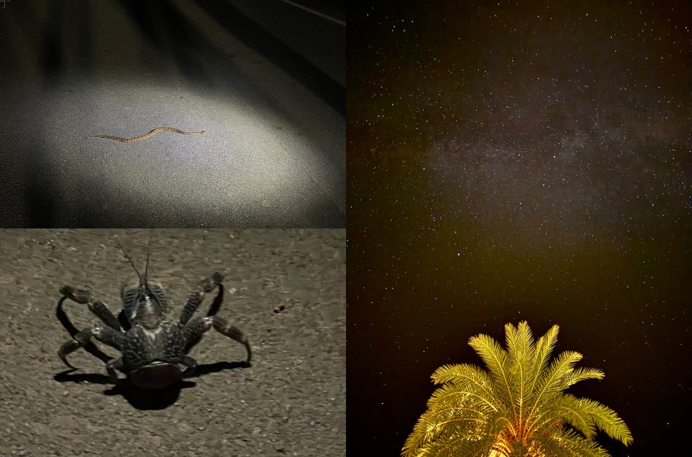 石垣島ナイトドライブ