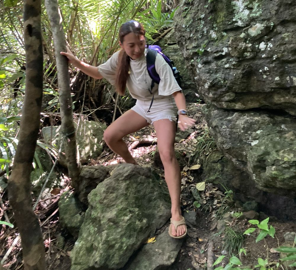 屋良部岳　山道