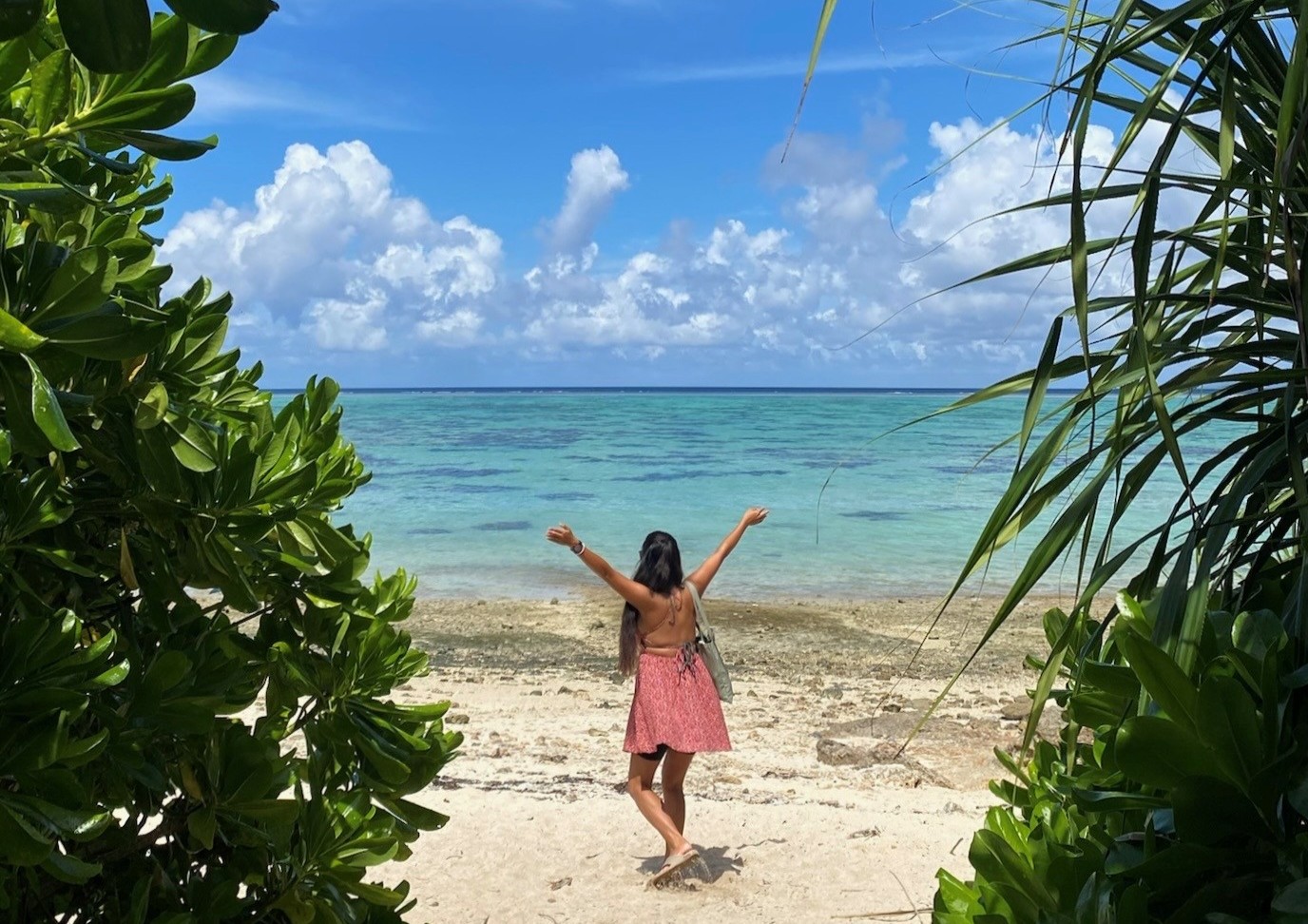 ① 川平（かびら）タバガー