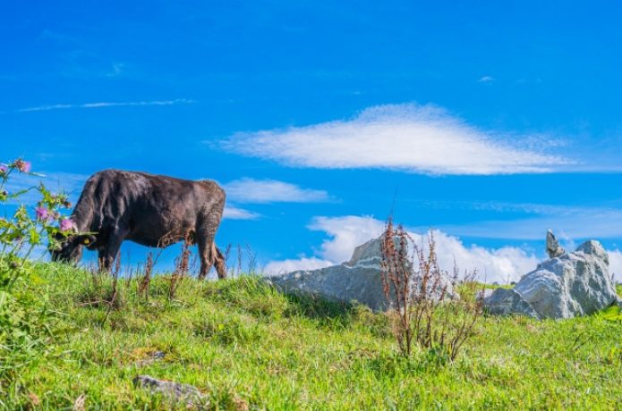 四国カルスト県立自然公園