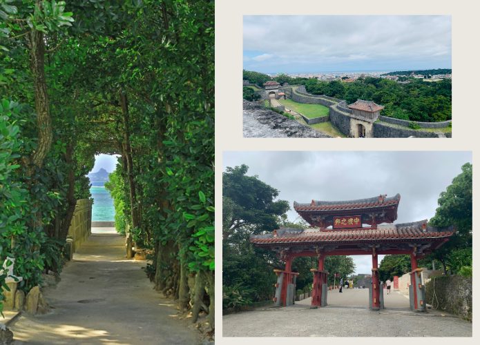 首里城と備瀬のフクギ並木