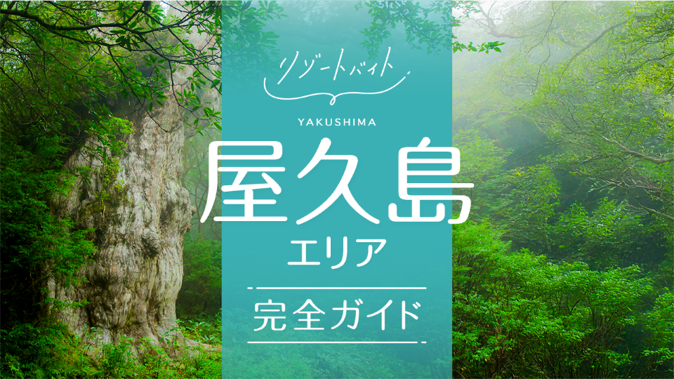 リゾートバイト屋久島