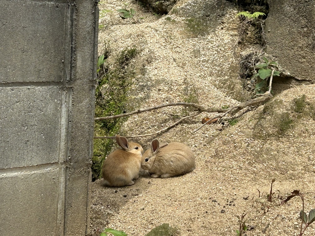 休日