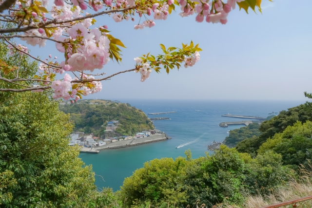  伊豆大島（東京都）		