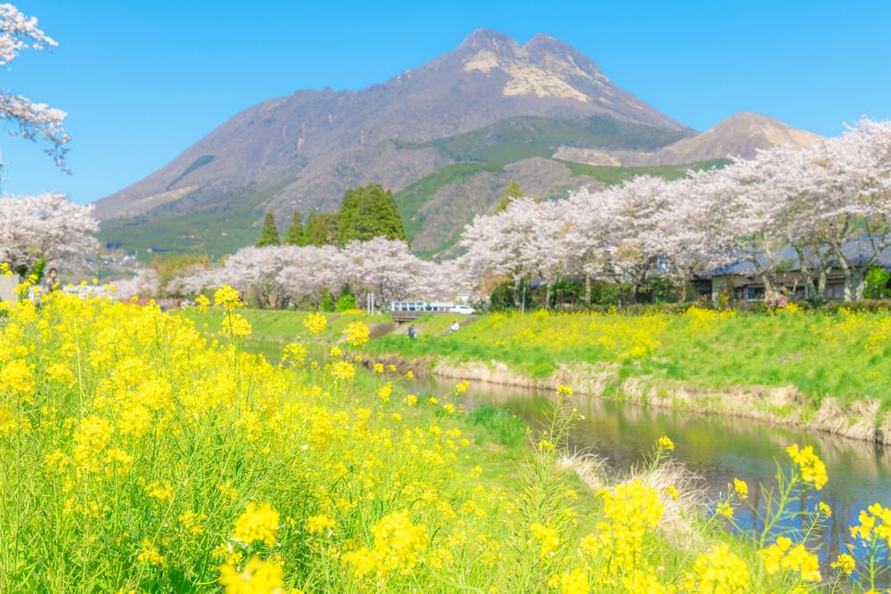 湯布院