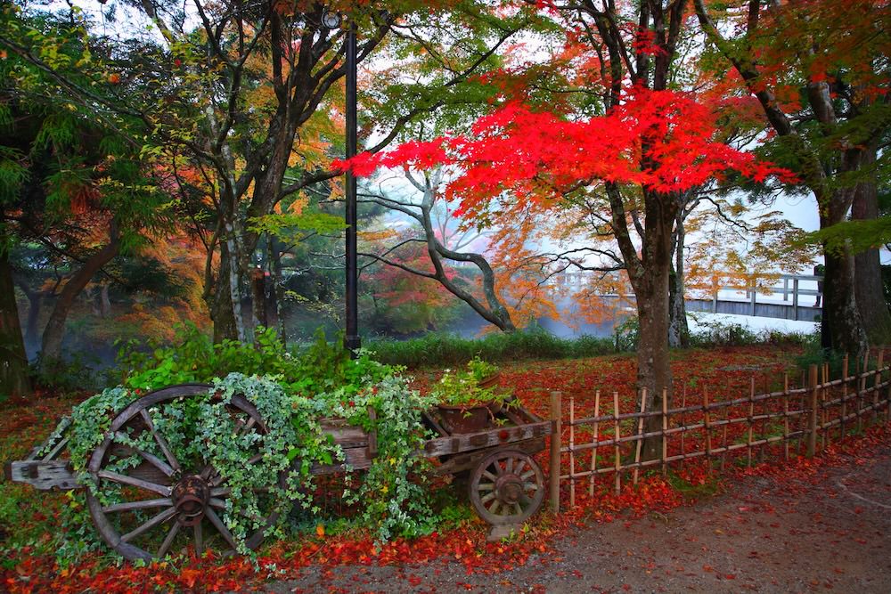 湯布院